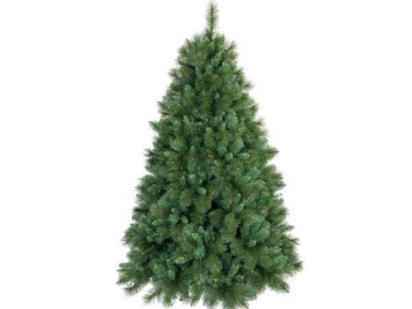 ALBERO DI NATALE 210 ALASKA 1584 RAMI – 382034 – Flli Crispino